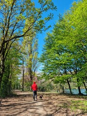 Obraz premium Italy, gaggiano, lago boscaccio, walk in the park with a dog
