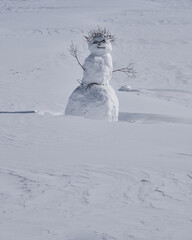 an impromptu snowman with twigs and sticks for hiar and limbs in a snow field