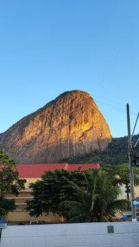 Pna de az&uacute;car 