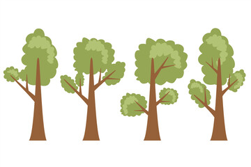 Trees vector illustration. Plant collection. Green plant isolated