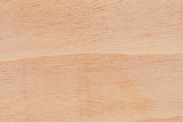 Light rough textured cut surface of an African tree. Wood background or blank for design