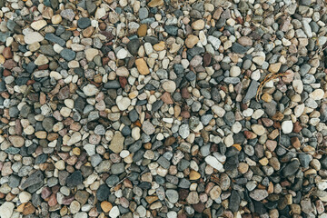 Variations of Gray and Brown Smooth Rocks on Lake Shore