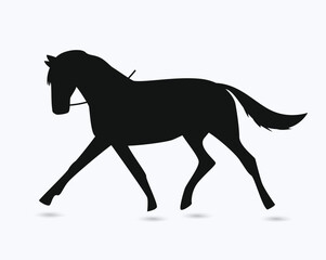 Fototapeta na wymiar Black Horse Silhouette