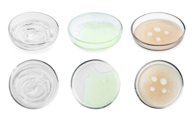 Collage of Petri dishes with liquid samples isolated on white, top and side views