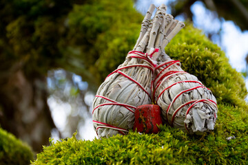 A close up image of two white sage smudge sticks with a red jasper crystal on a moss covered tree...