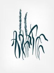 agropyron wild plant flower grass vector line art elegant isolated clip art isolated