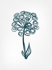 angelica archangelica wild plant flower grass vector line art elegant isolated clip art isolated - 589348518