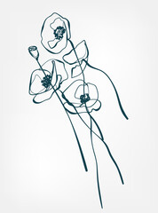 poppies wild plant flower grass vector line art elegant isolated clip art isolated