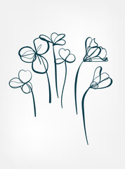 oxalis clover wild plant flower grass vector line art elegant isolated clip art isolated