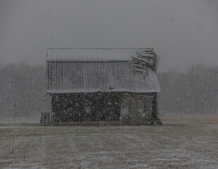 barn in the field © Jodi