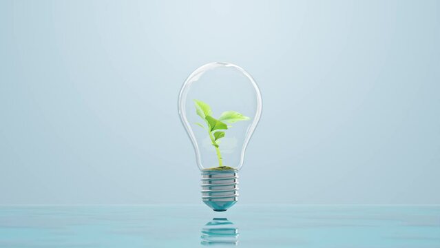 Tree growing Animation in light bulb on water. conceptual design in environment or energy background concept. 3D Render.