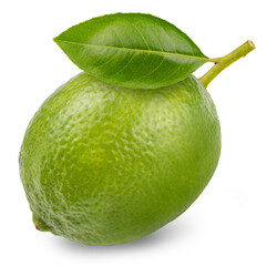 Citrus Lime isolated on white background, Fresh lime on white With clipping path.