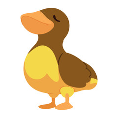 baby duck farm animal