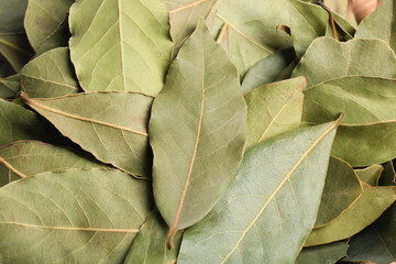 Aromatic bay leaves as background, closeup view