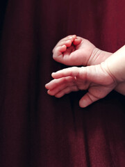 Small little newborn baby child hands on a background of red burgundy textile fabric cute pretty aesthetic photo - 589360943