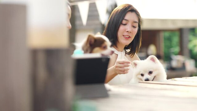 Asian woman friends with her dog meeting together at pets friendly dog park cafe. Domestic dog with owner enjoy urban lifestyle on summer vacation. Pet humanization or pet ownership community concept.