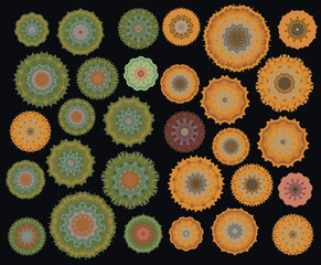 A set of different beautiful round ornaments. Vector image.