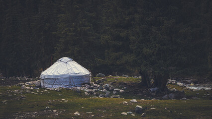 Traditional yurt house surrounded by beautiful coniferous forest and mountains in autumn, Kyrgyzstan - 589367924