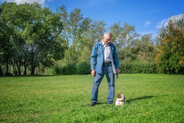 Fototapeta na wymiar an elderly man walks with his pug in the park on the lawn on a warm sunny summer day. Selective focus. man and dog look at each other and smile