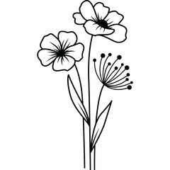 Fototapeta na wymiar Hand Drawn Flower, Flower Line Art
