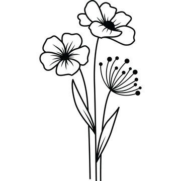 Hand Drawn Flower, Flower Line Art
