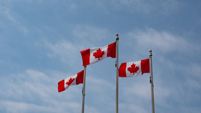 image with canadian flag of canada. canadian flag of canada. maple leaf on canadian flag