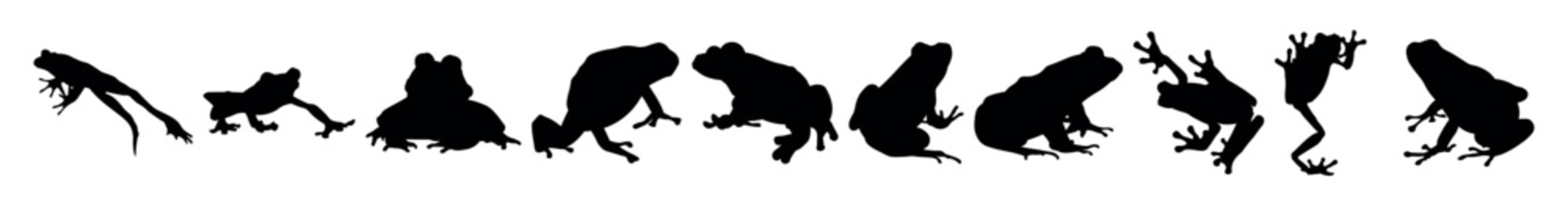 Many silhouettes of frogs on white background