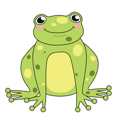 Cute green frog on white background