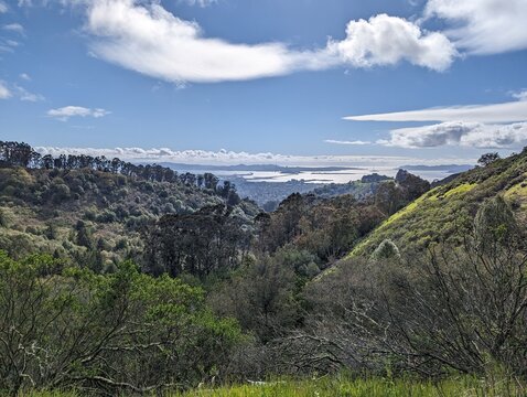 View Of The San Francisco Bay Area On The Way To Charles Lee Tilden Regional Park, California