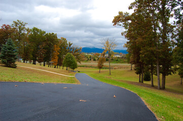 road in the autumn