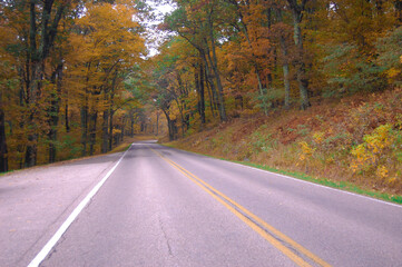 road in autumn