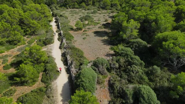 Cyclists touring through a thick forest in Europe through the summer months.