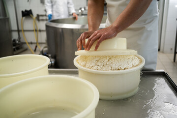 Traditional italian cheese making with fresh milk. Private small-scale cheese factory. Cheese maker...