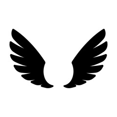 angel wings in heaven hawk feather wing pattern
