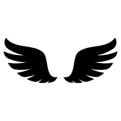 angel wings in heaven hawk feather wing pattern