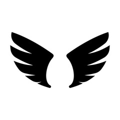 angel wings in heaven hawk feather wing pattern