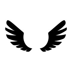 angel wings in heaven hawk feather wing pattern