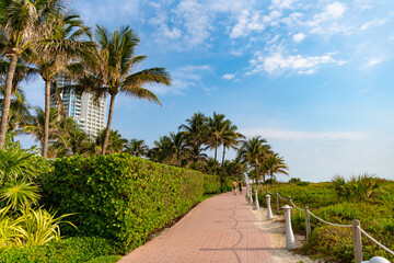 Fototapeta na wymiar summer way with palms. promenade road way outdoor. way path alley. photo of way with destination