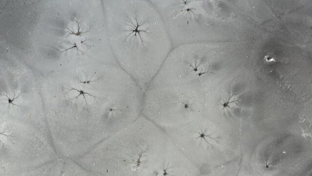 Spring time lake ice with fishing holes, aerial view

