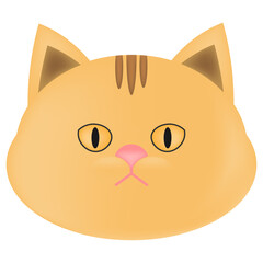 Kitty cat pet animal expression character