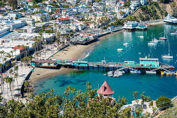 boats in the harbor at Catalina Island, California