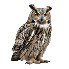Owl isolated on white, transparent background, PNG, generative ai	 - obrazy, fototapety, plakaty