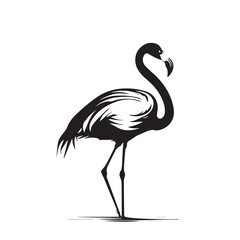 Flamingo vector image on a white background. Vector illustration silhouette svg.