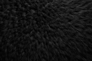 Short black hair texture
