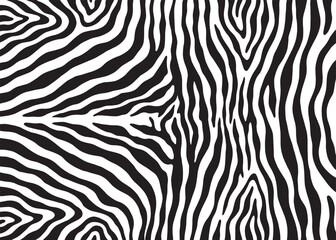 Fototapeta na wymiar Zebra print pattern design. Vector illustration background.