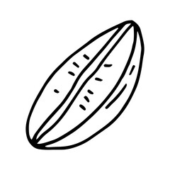 coffee bean hand drawn in doodle style. Suitable for icon, sticker, packaging decor. minimalism, monochrome, Scandinavian