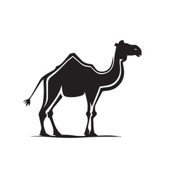 Camel vector image on a white background. Vector illustration silhouette svg.
