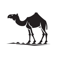 Camel vector image on a white background. Vector illustration silhouette svg.