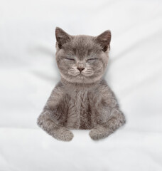 Funny kitten sleeps under blanket on a bed at home. Top down view