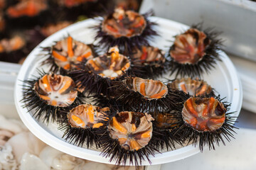 Sea urchins with orange eggs in a plat ready to eat in a fish market, or fishery, sea fruit, sushi